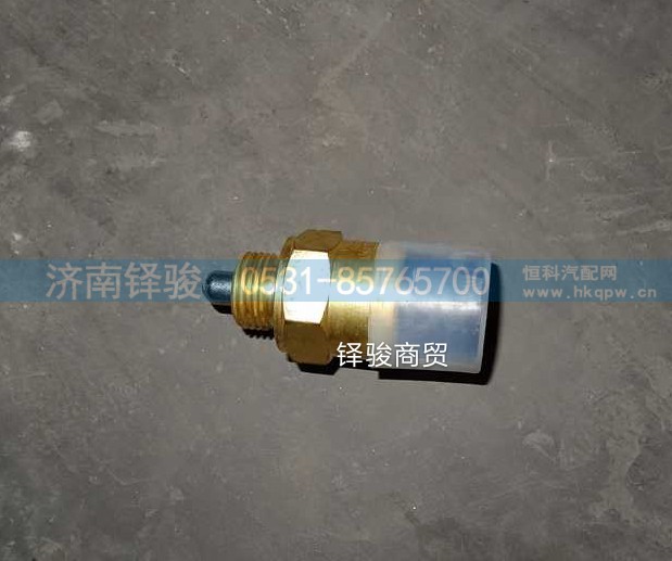 811W25503-0244,压力开关(MCY13),济南信达重汽配件有限公司