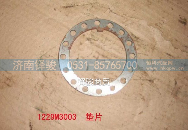 1229M3003,鎖止墊片,濟南信達重汽配件有限公司