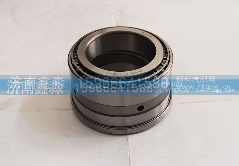 16JSS300T-1707109,軸承,瓦房店鑫瓦軸軸承制造有限公司