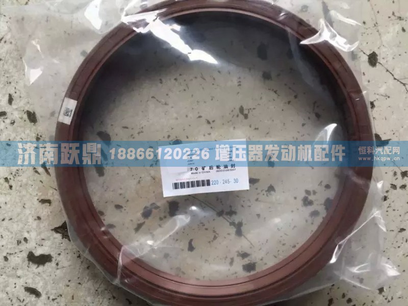 70矿后轮油封WG9970340113