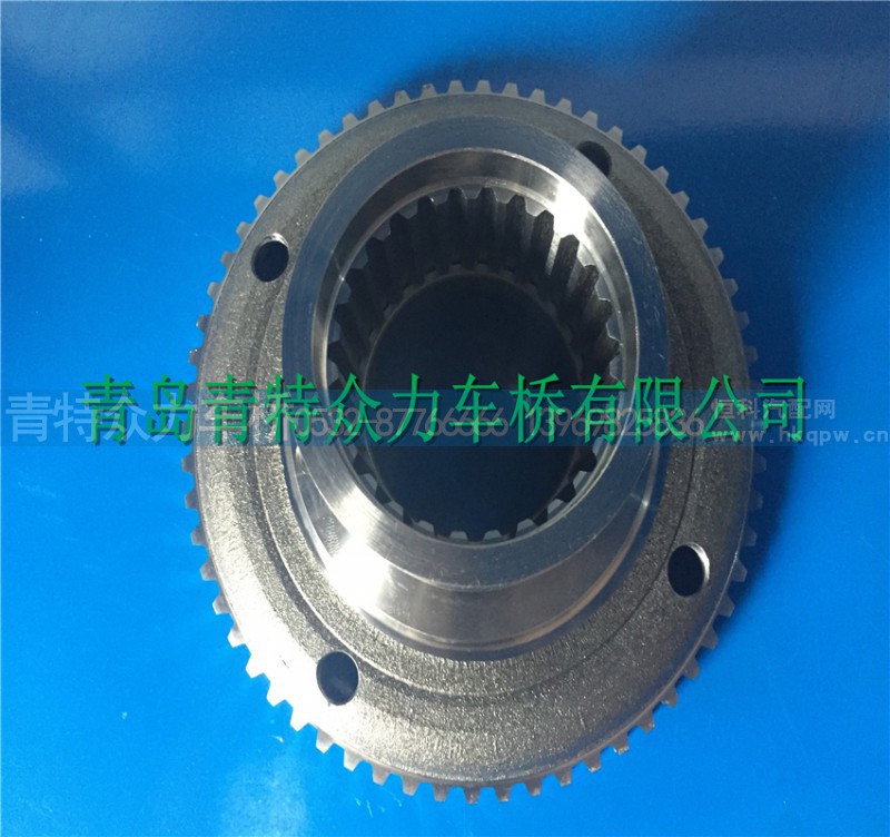 ,295D58,青岛青特众力车桥有限公司