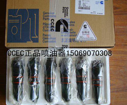 ,康明斯Nt855喷油器3054218-189190系列专供产品,山东菱巨商贸有限公司