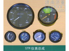 ,STR仪表总成,山东豪曼汽车配件有限公司