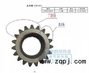 ,太阳轮Z=19(Helical gear),济南鹏旭伟业重汽配件销售公司