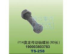 190003803783,￠14奥龙传动轴螺丝60长,晋江新兴螺丝有限公司
