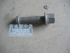 ,后轮胎螺丝（标准加粗）,济南海西重型汽车配件有限公司