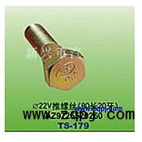 AZ9725520260,直径22V推螺丝（80长20牙）,晋江新兴螺丝有限公司