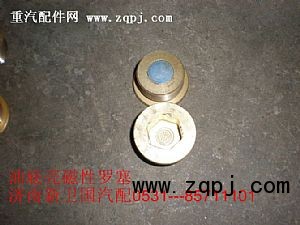 ,油底壳磁性罗塞,