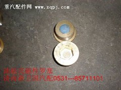 ,油底壳磁性罗塞,