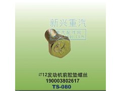 190003802617,￠12发动机前胶垫螺丝,晋江新兴螺丝有限公司