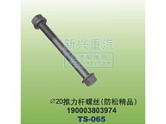 190003803974,￠20推力杆螺丝防松精品,晋江新兴螺丝有限公司