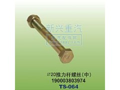 190003803974,￠20推力杆螺丝中,晋江新兴螺丝有限公司