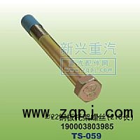 190003803985,￠22钢板托架螺丝210长,晋江新兴螺丝有限公司