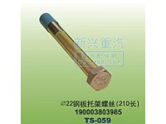 190003803985,￠22钢板托架螺丝210长,晋江新兴螺丝有限公司