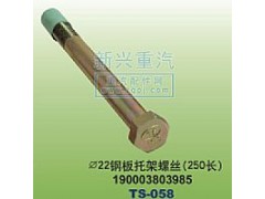 190003803985,￠22钢板托架螺丝25长,晋江新兴螺丝有限公司