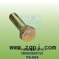 190003803753,￠14滑块螺丝55长,晋江新兴螺丝有限公司