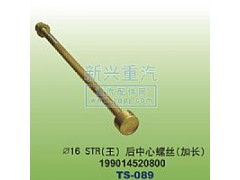 199014520800,￠16STR王后中心螺丝加长,晋江新兴螺丝有限公司