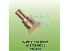 A3872840001,￠24拔叉支撑肖螺丝,晋江新兴螺丝有限公司