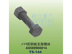 A6569900014,￠14前钢板支架螺丝,晋江新兴螺丝有限公司