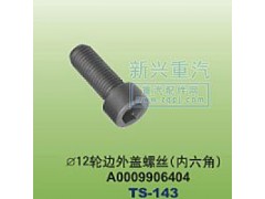 A0009906404,￠12轮边外盖螺丝内六角,晋江新兴螺丝有限公司