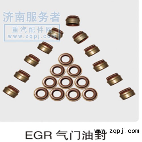 EGR氣門油封/