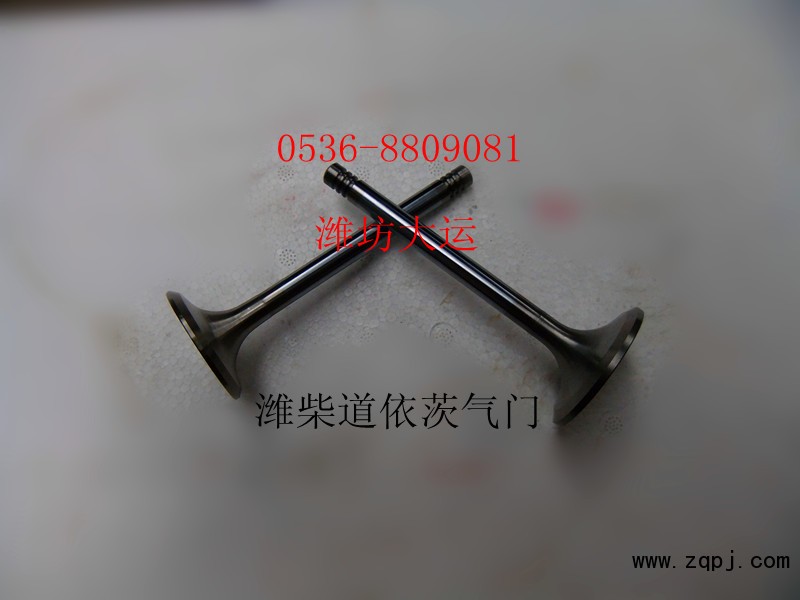 供應(yīng)道依茨配件進(jìn)排氣門(mén)12159606/12159608/12159606/12159608