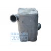 德龍  消聲器 DZ91259540008