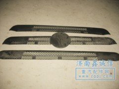 PW10G]53-01574-5-6,面板中网,济南隆旭汽车配件有限公司