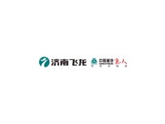 ,重汽配套方向机济南最低价,济南飞龙汽车零部件有限公司