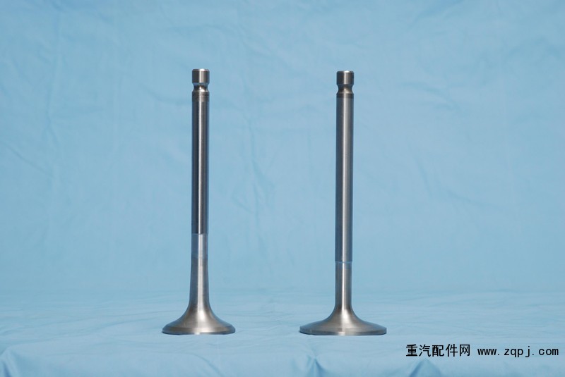 长城汽车系列气门