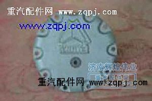 轮边盖板99112340001