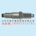 山东天指方北方奔驰底底盘（前GUAN）