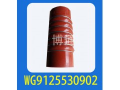 WG9125530902,,济南博通重汽备件库