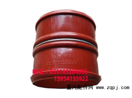DZ91125530001,,济南博通重汽备件库