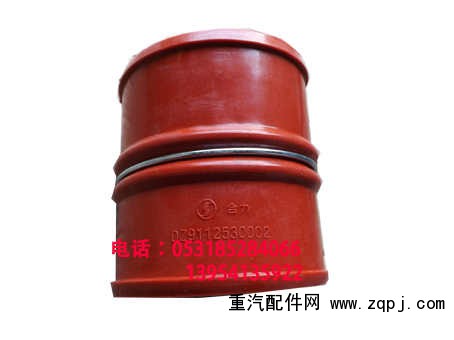 DZ91125530001,,济南博通重汽备件库