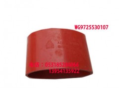 WG9725530107,,济南博通重汽备件库