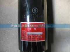 81437016837,陕汽德龙F3000后桥减震器总成,济南尊龙(原天盛)陕汽配件销售有限公司