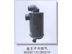 WG9115190010,金王子天然气滤清器,济南润达重型汽车配件