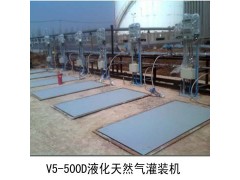 ,防爆液体定量灌装机,上海毕胜实业有限公司