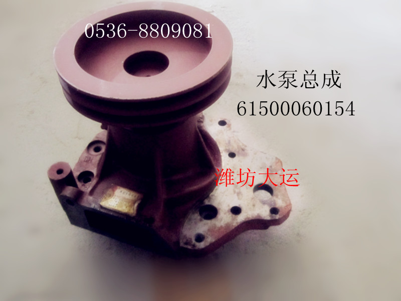 水泵总成  61500060154/61500060154