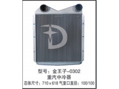 金王子-0302,中冷器,济南鼎鑫汽车散热器有限公司