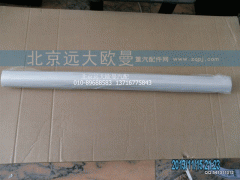 1B24953504035,副驾驶侧饰条总成,北京远大欧曼汽车配件有限公司