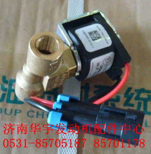 重汽天然氣發(fā)動機配件 VG1540110431 (CNG)/VG1540110431