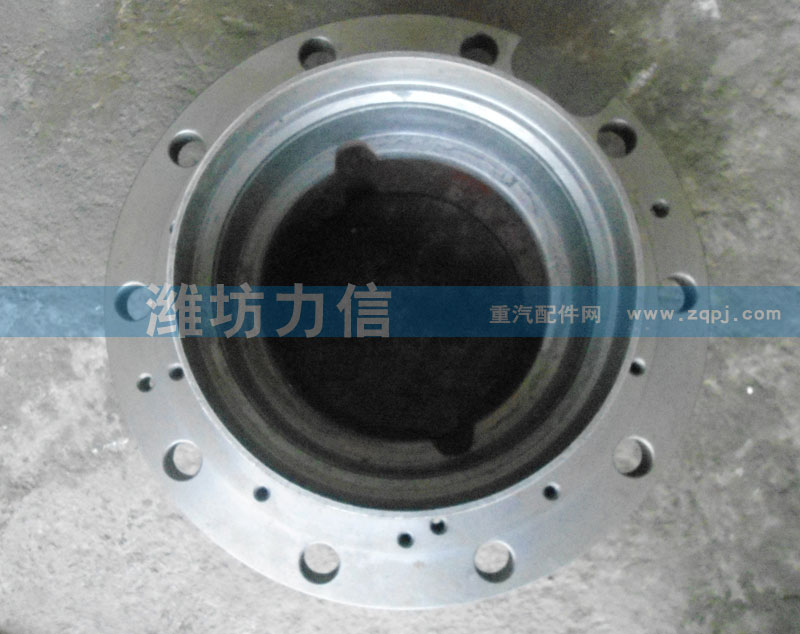 AZ9981340309,后轮毂（新式）,潍坊昌邑力信经贸有限公司