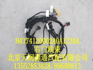 歐曼右門線束/H4374120002A0A1234A