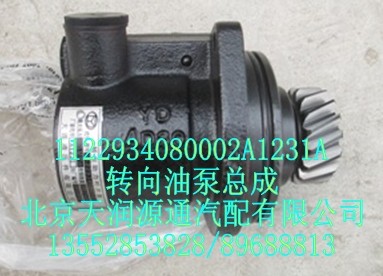 轉向油泵總成/1122934080002A1231A
