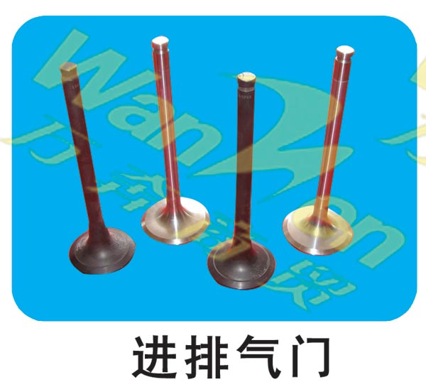 612600050168,天然气排气门,济南万奔天然气发动机配件销售中心
