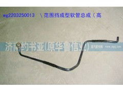 WG2203250013,范围挡成型软管总成(高挡),济南约书亚汽车配件有限公司（原华鲁信业）
