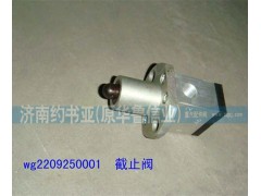 WG2209250001,截止阀,济南约书亚汽车配件有限公司（原华鲁信业）