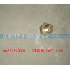 WG2229250011消聲器